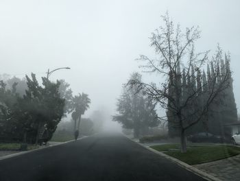 Road amidst bare trees against clear sky