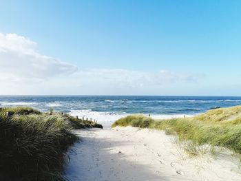 Scenic view of beach 