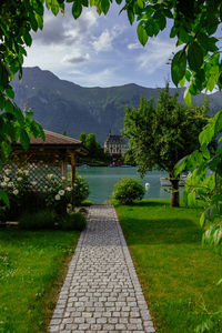 Footpath amidst trees and buildings against sky