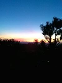 Silhouette of trees at sunset