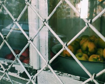 Close-up of chainlink fence