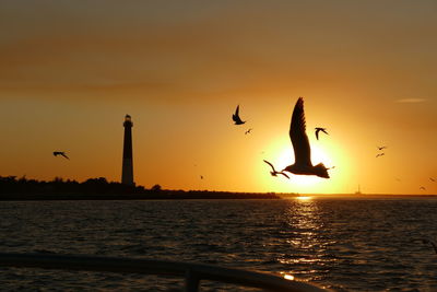 Silhouette birds flying over sea against sky during sunset