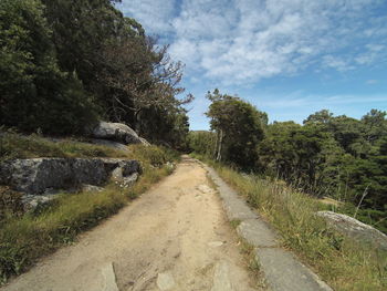 Road amidst trees against sky