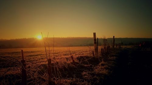 Scenic view of agricultural field against sky during sunset