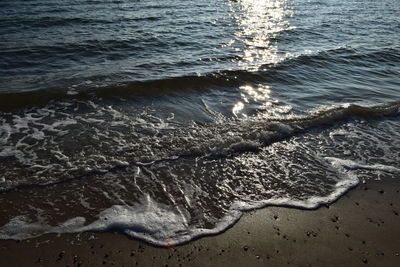 High angle view of crab on beach