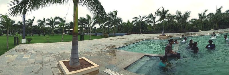 Swimming pool by trees against sky