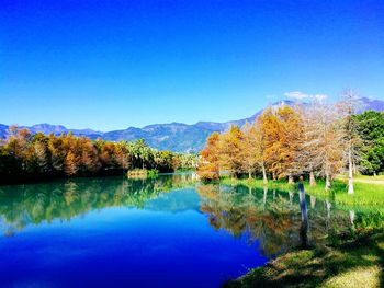Scenic view of lake by trees against clear blue sky