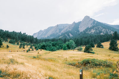 Scenic view of field and mountains against sky