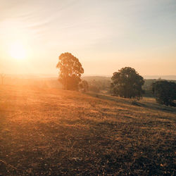 Scenic view of landscape at sunset