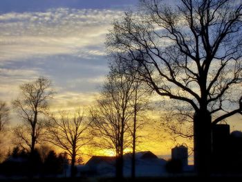 Bare trees against sky at sunset