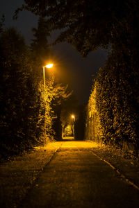 Empty road along trees at night