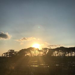 Sun shining over silhouette trees against sky during sunset