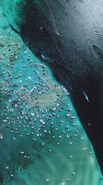 Aerial view of boats on sea