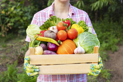 Midsection of woman picking apples in basket