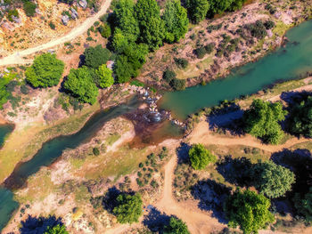 High angle view of road amidst trees