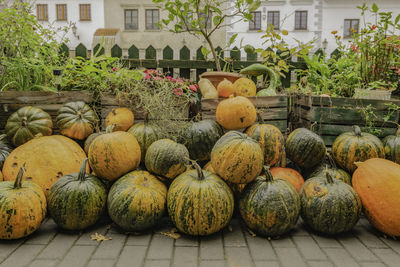 Pumpkins for sale in market