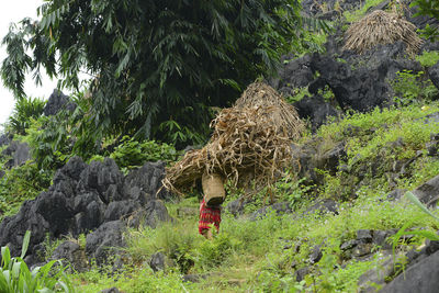 Rear view of man working on rock