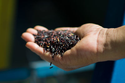 Close-up of hand holding berries
