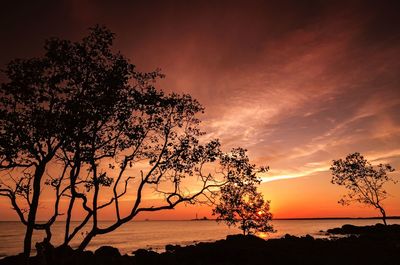 Silhouette tree by sea against orange sky