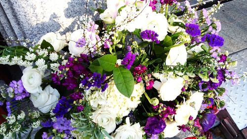 Purple flowers on tree