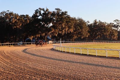 People riding horse on dirt road