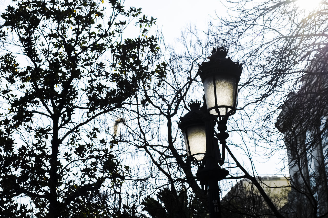 LOW ANGLE VIEW OF STREET LIGHT AGAINST TREES