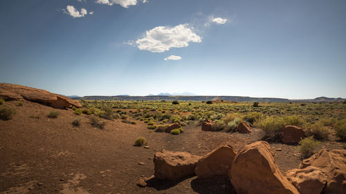 Scenic view of landscape against sky