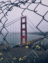 Golden gate bridge seen through damaged chainlink fence during sunset