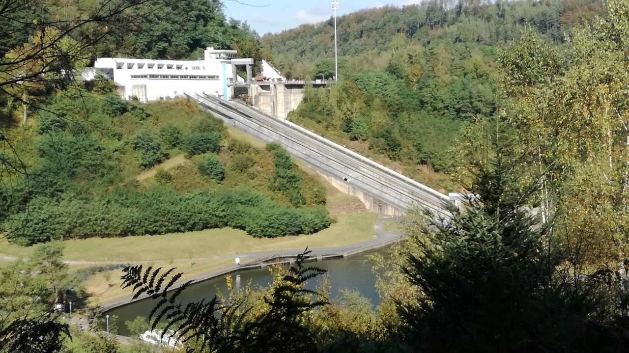 HIGH ANGLE VIEW OF ROAD PASSING THROUGH FOREST