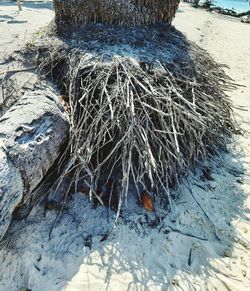 High angle view of ice on beach