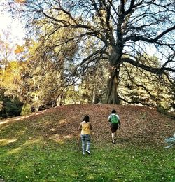 Rear view of child on grass against trees