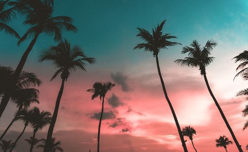 Low angle view of silhouette palm trees against sky