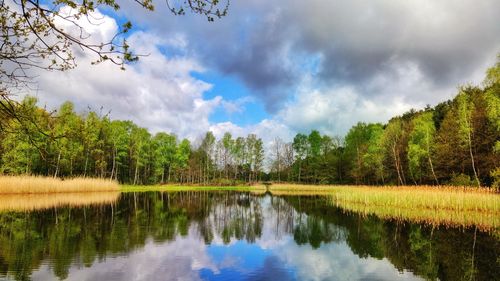 Scenic view of lake by trees against sky