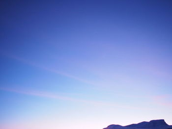 Low angle view of trees against blue sky