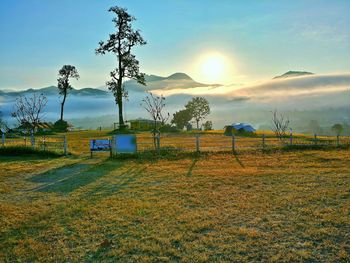 Scenic view of field against sky during sunset