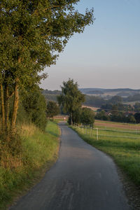 Road amidst trees against sky