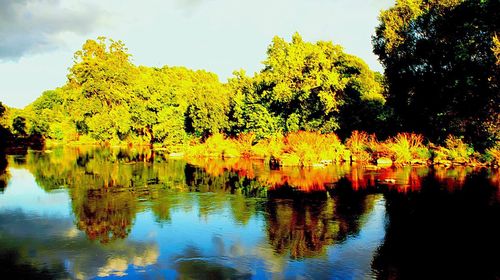 Reflection of trees in water against sky