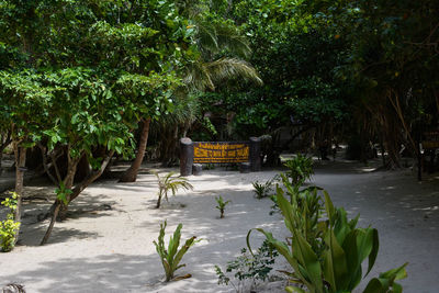 View of plants in park