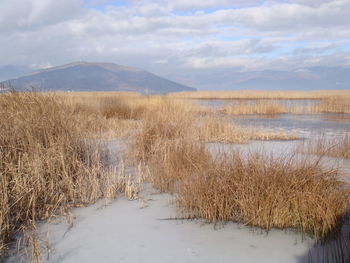 Scenic view of landscape against sky during winter