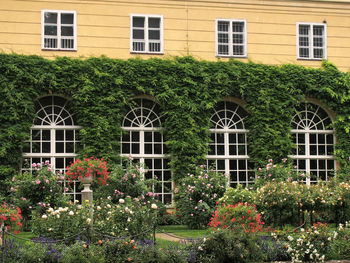 Flowers growing in front of house