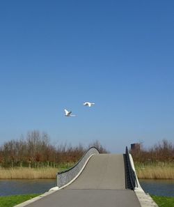 Airplane flying in sky