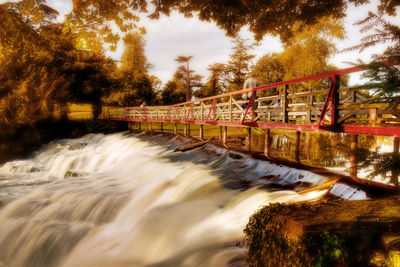 Bridge over river against trees