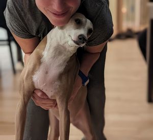 Midsection of woman with dog at home