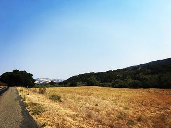 Country road leading towards mountains against blue sky