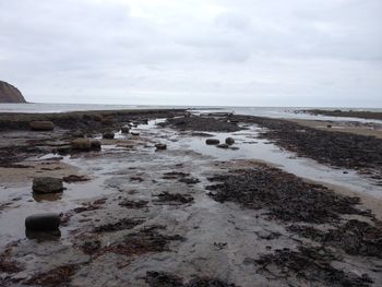 Messy beach against cloudy sky