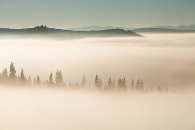 Scenic view of tree mountains against sky