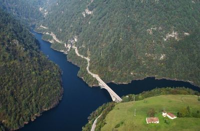 High angle view of river amidst trees