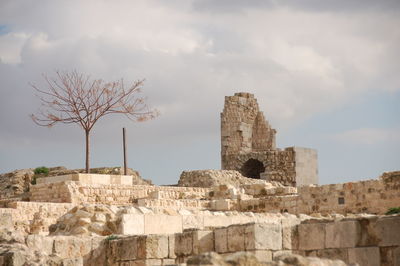 The aleppo citadel