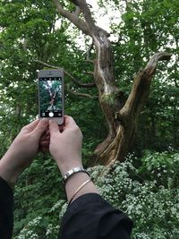 Low section of man photographing on tree trunk