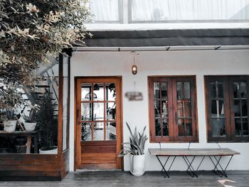 Potted plants on table outside building